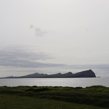 The Old Pier Guest Accommodation, Bed Only, No Breakfast Ballydavid Eksteriør billede